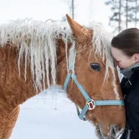 Terveydenhoitaja Nina Salonen halaa Peppi-hevosta.