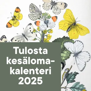 Kesälomakalenteri 2025.