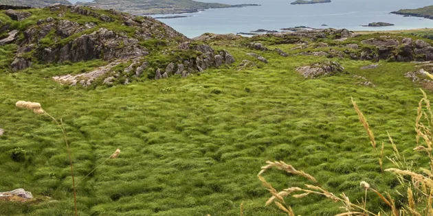 The Ring of Kerry, näkymä Atlantin valtameren rannalla Irlannissa