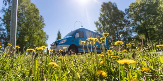 Sininen pakettiauto voikukkien keskellä.